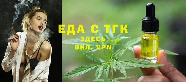 спиды Бородино