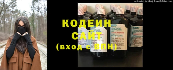 спиды Бородино