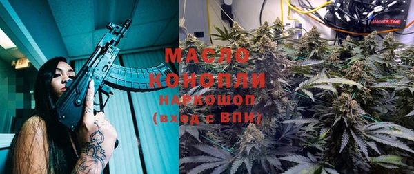 спиды Бородино