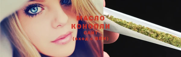 спиды Бородино