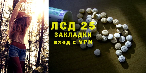 спиды Бородино