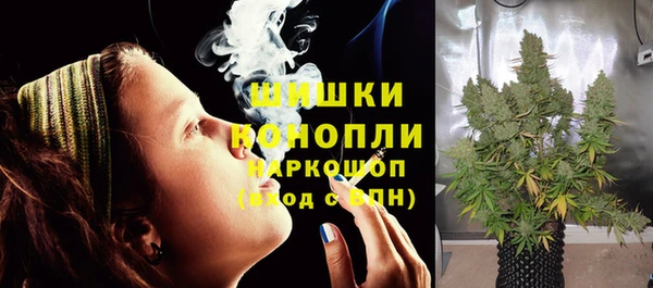 спиды Бородино