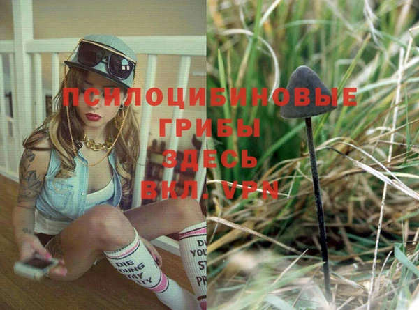 спиды Бородино