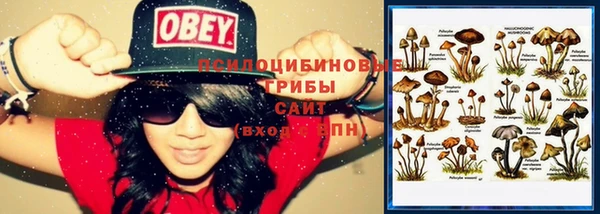 спиды Бородино