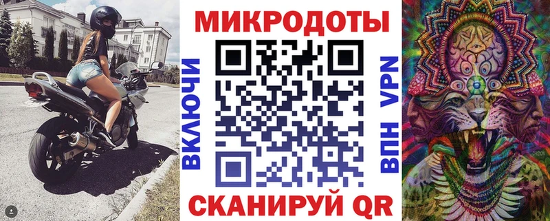 Купить где  Пятигорск  Галлюциногенные грибы Cubensis 